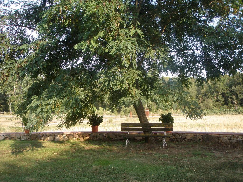 Mas Vilalonga Petit Касса-де-ла-Сельва Экстерьер фото